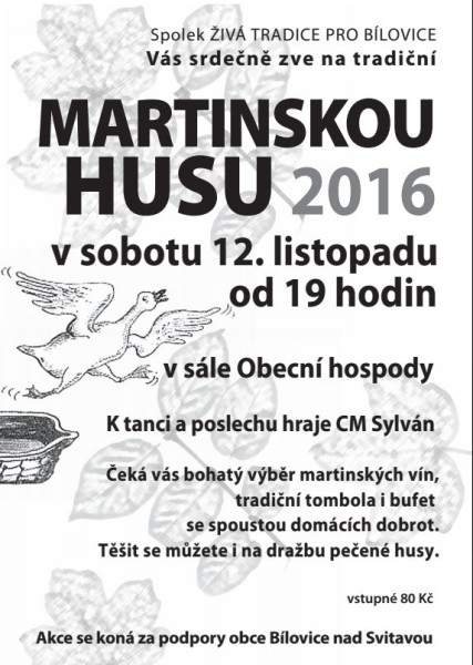 Martinska husa 2016